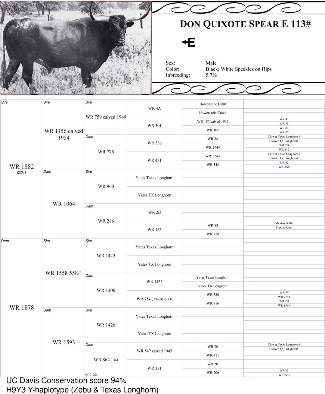 A.I. Sire List – Cattlemen's Texas Longhorn Conservancy